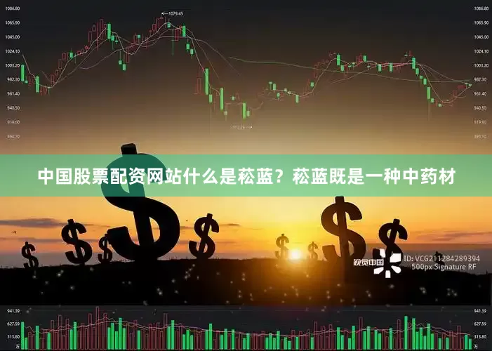 中国股票配资网站什么是菘蓝？菘蓝既是一种中药材
