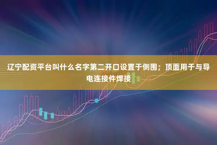 辽宁配资平台叫什么名字第二开口设置于侧围；顶面用于与导电连接件焊接